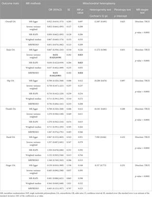 Impact of genetically predicted characterization of mitochondrial DNA quantity and quality on osteoarthritis